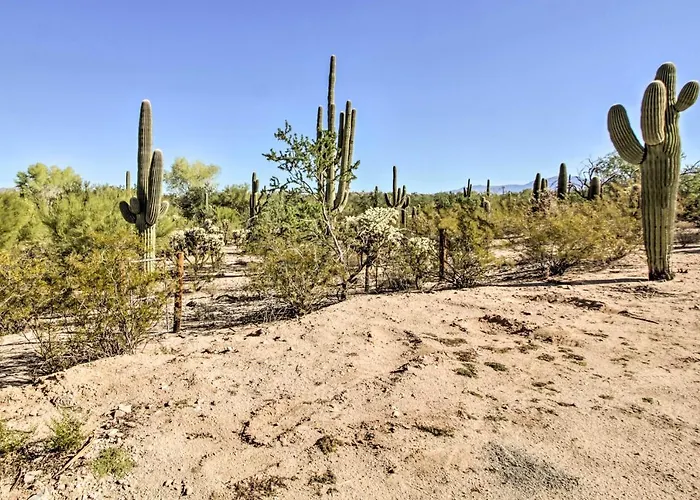 Vakantiehuis Classy Escape W/ Fire Pit On 5 Acres! Tucson